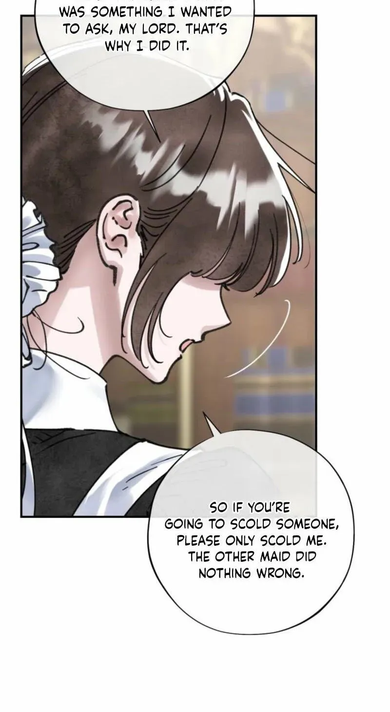 Read The Maid