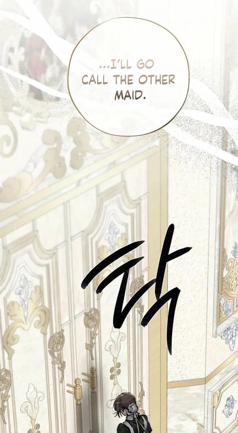 Read The Maid