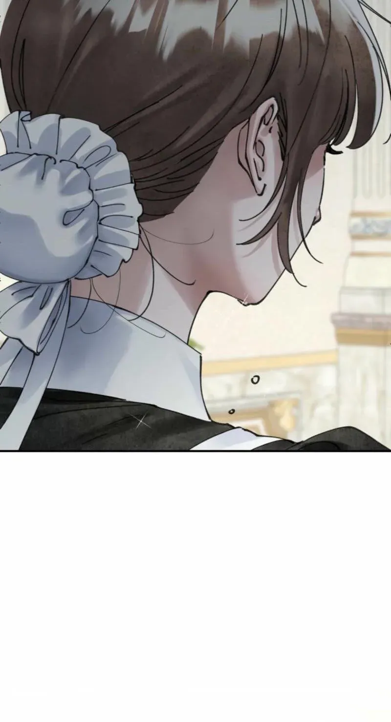 Read The Maid
