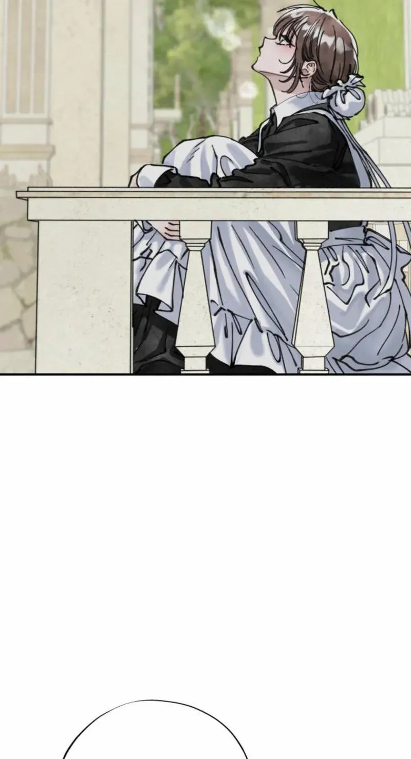 Read The Maid
