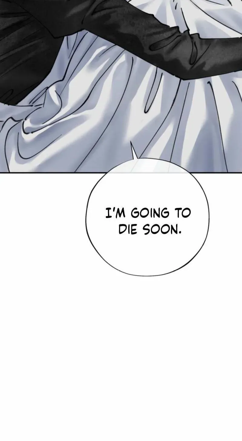 Read The Maid
