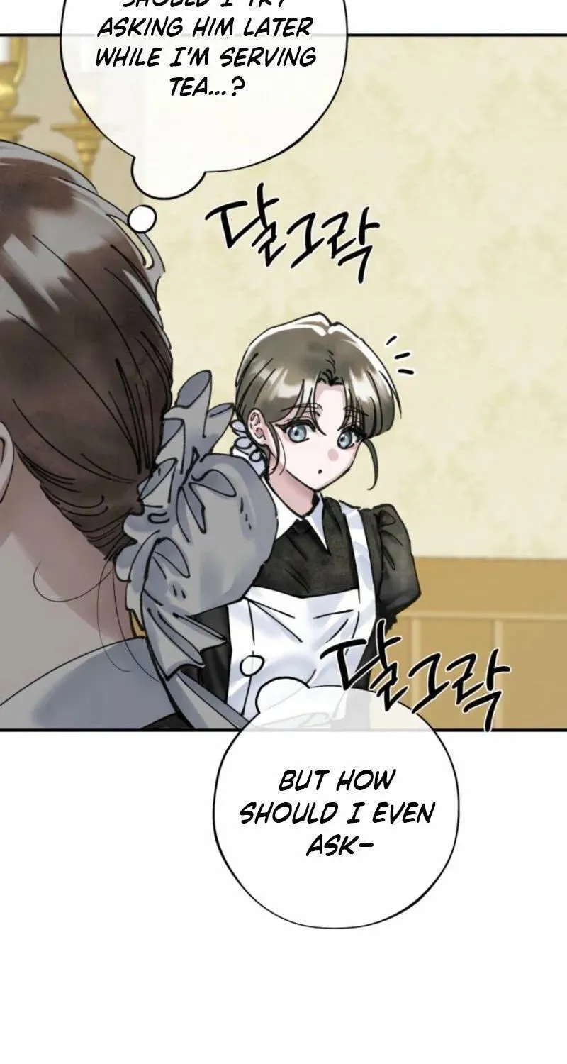 Read The Maid