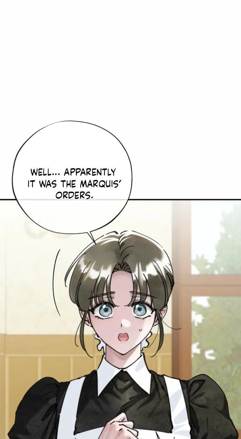Read The Maid