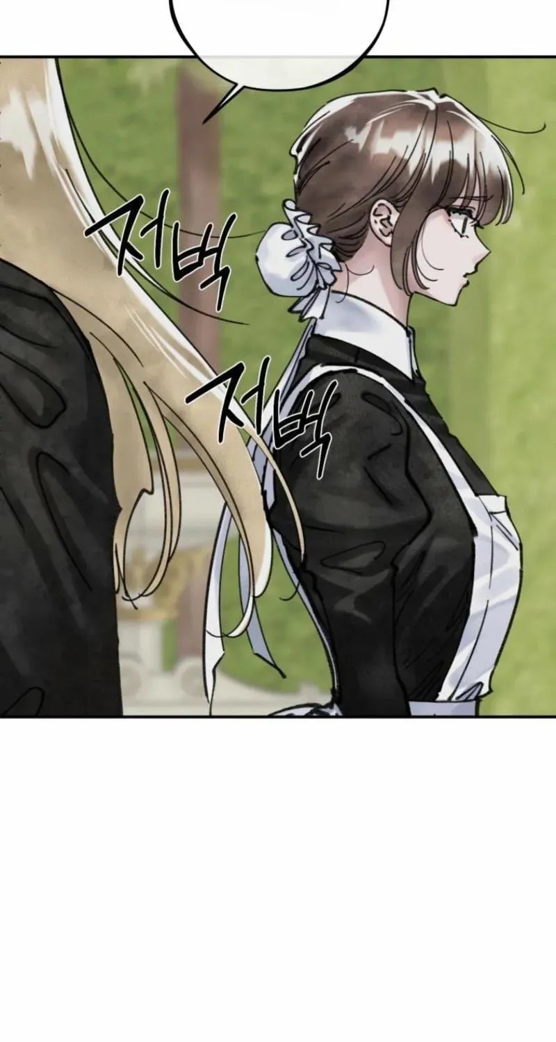 Read The Maid