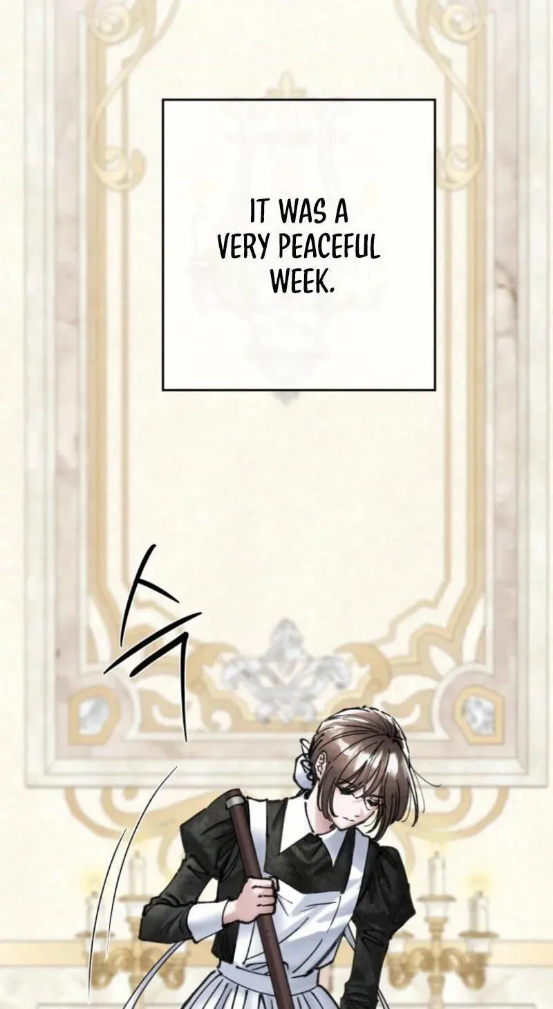 Read The Maid