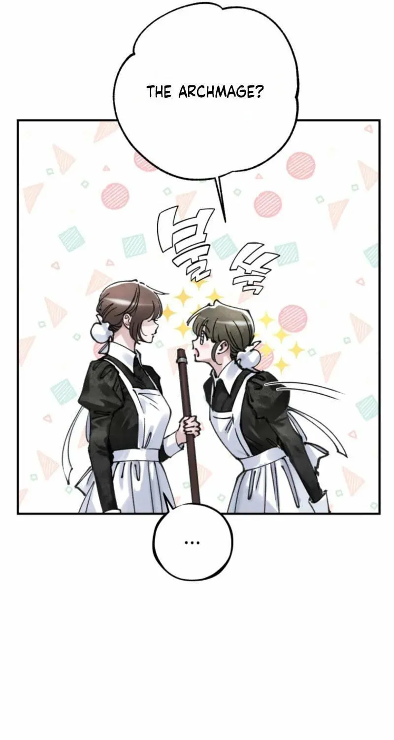 Read The Maid