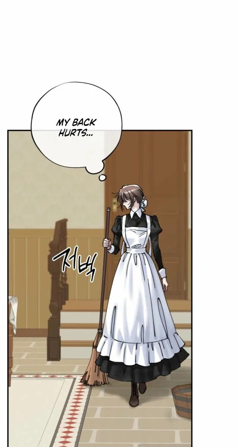 Read The Maid