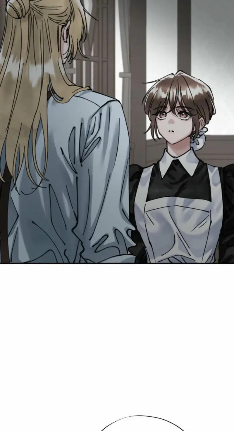 Read The Maid