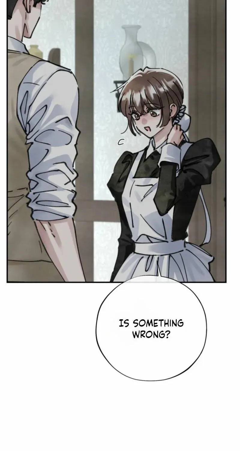 Read The Maid