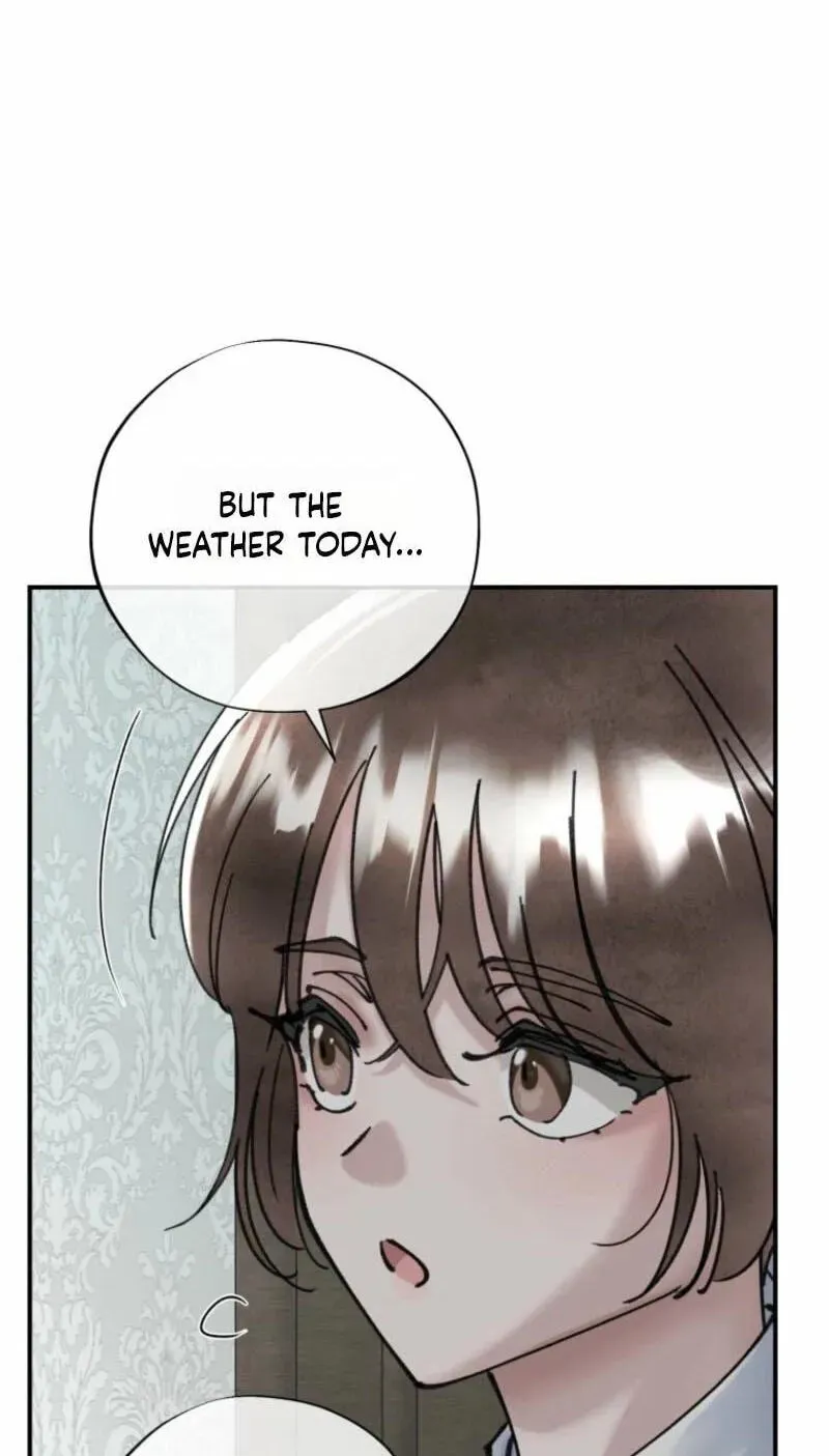 Read The Maid