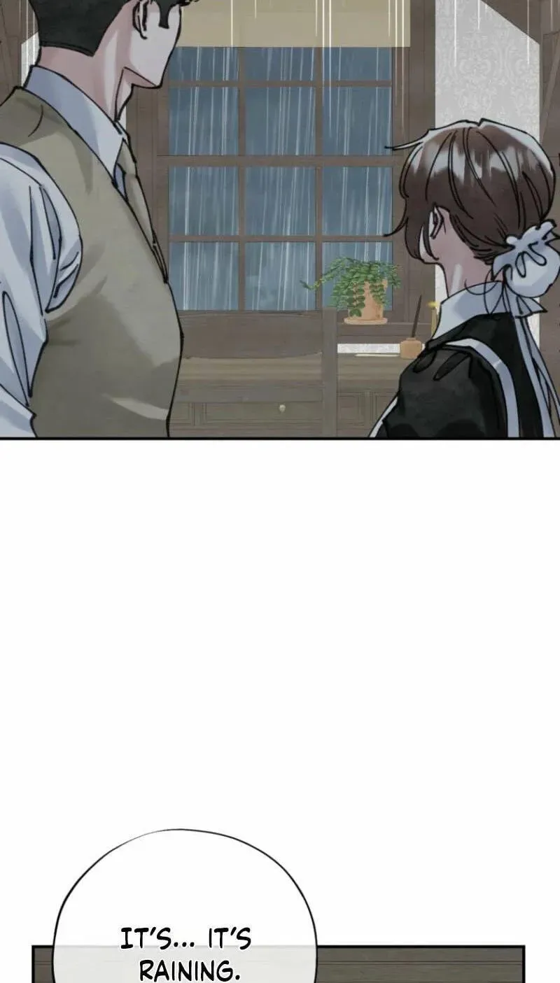 Read The Maid