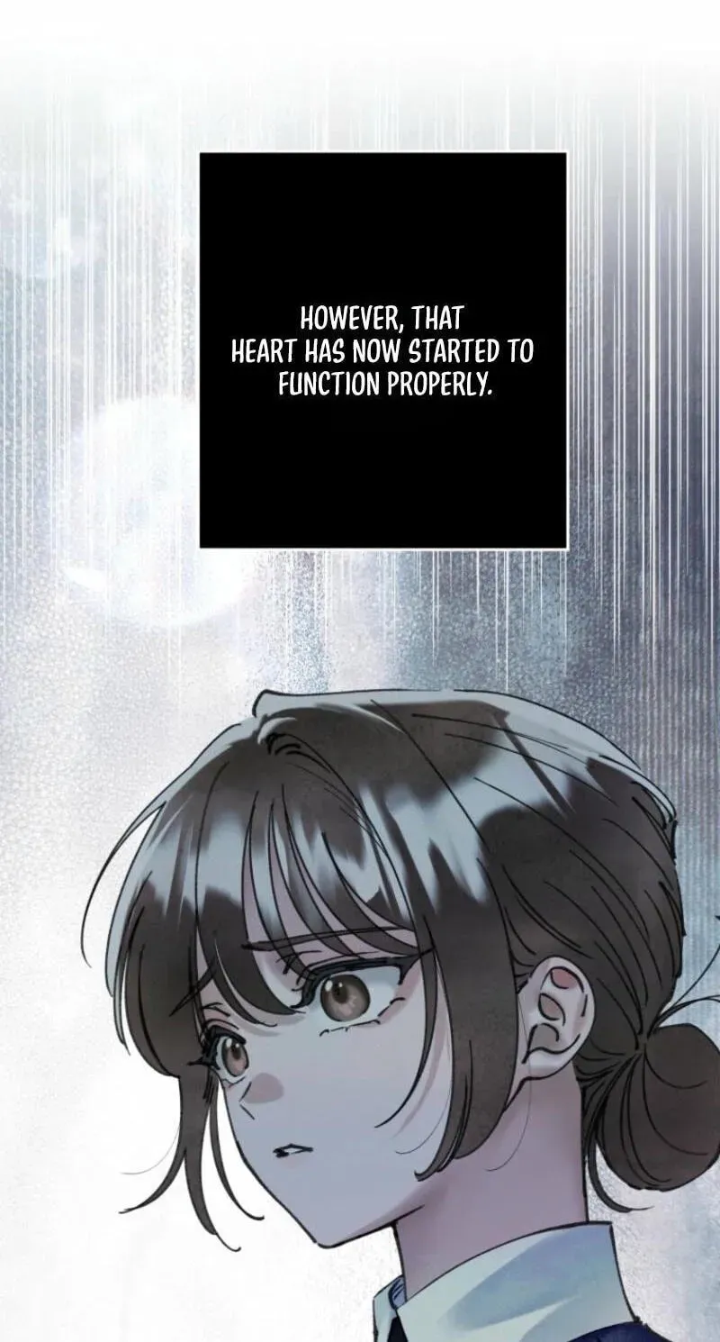 Read The Maid
