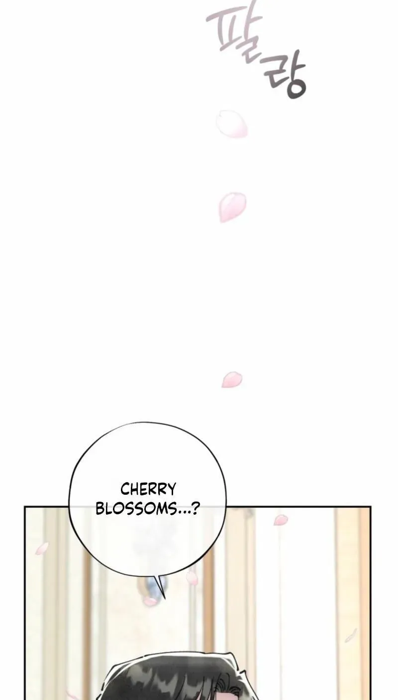 Read The Maid