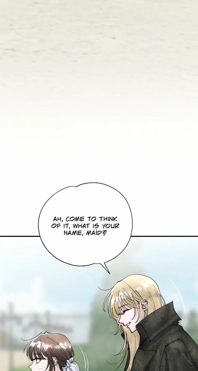 Read The Maid