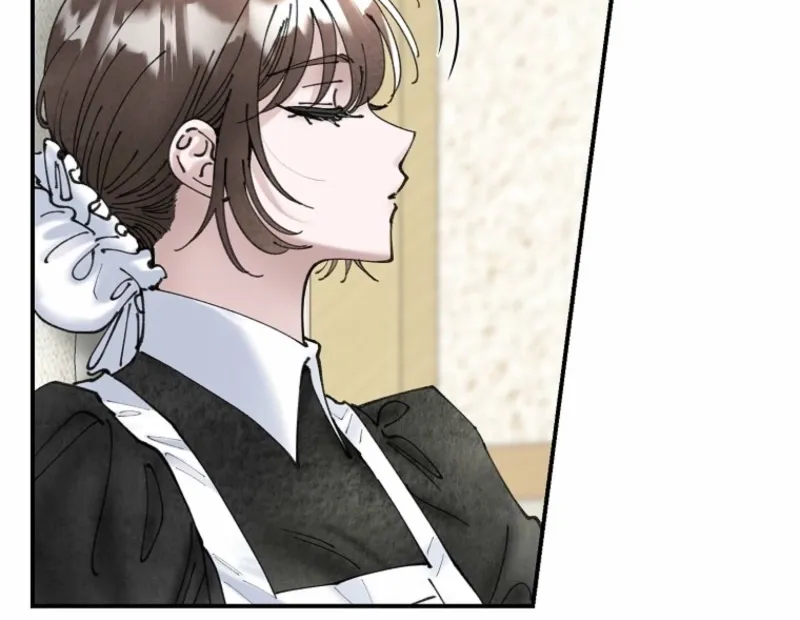 Read The Maid