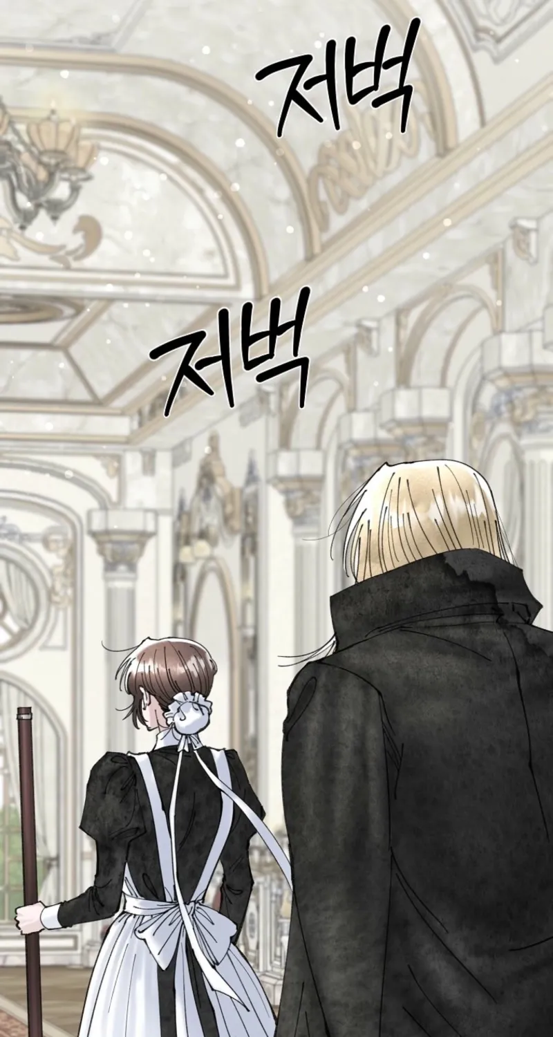 Read The Maid