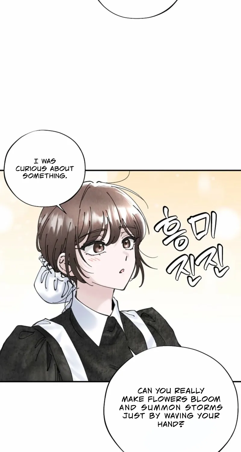 Read The Maid