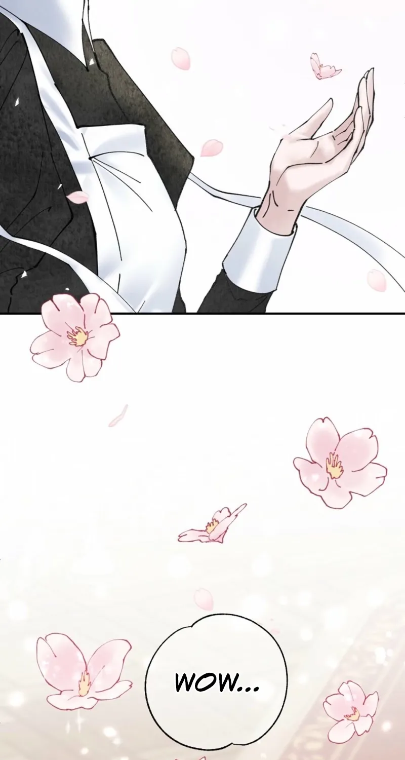 Read The Maid