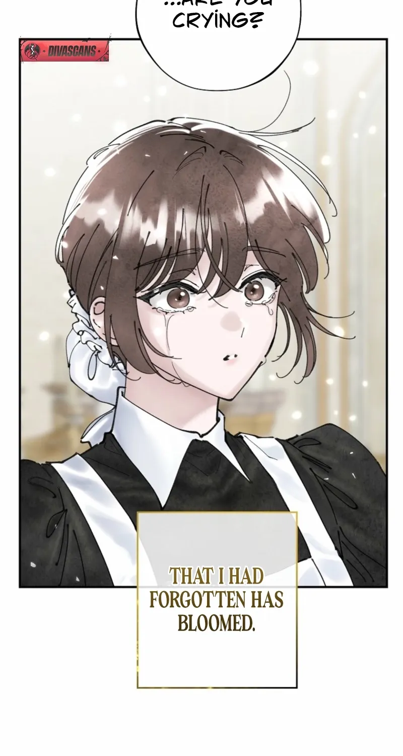 Read The Maid