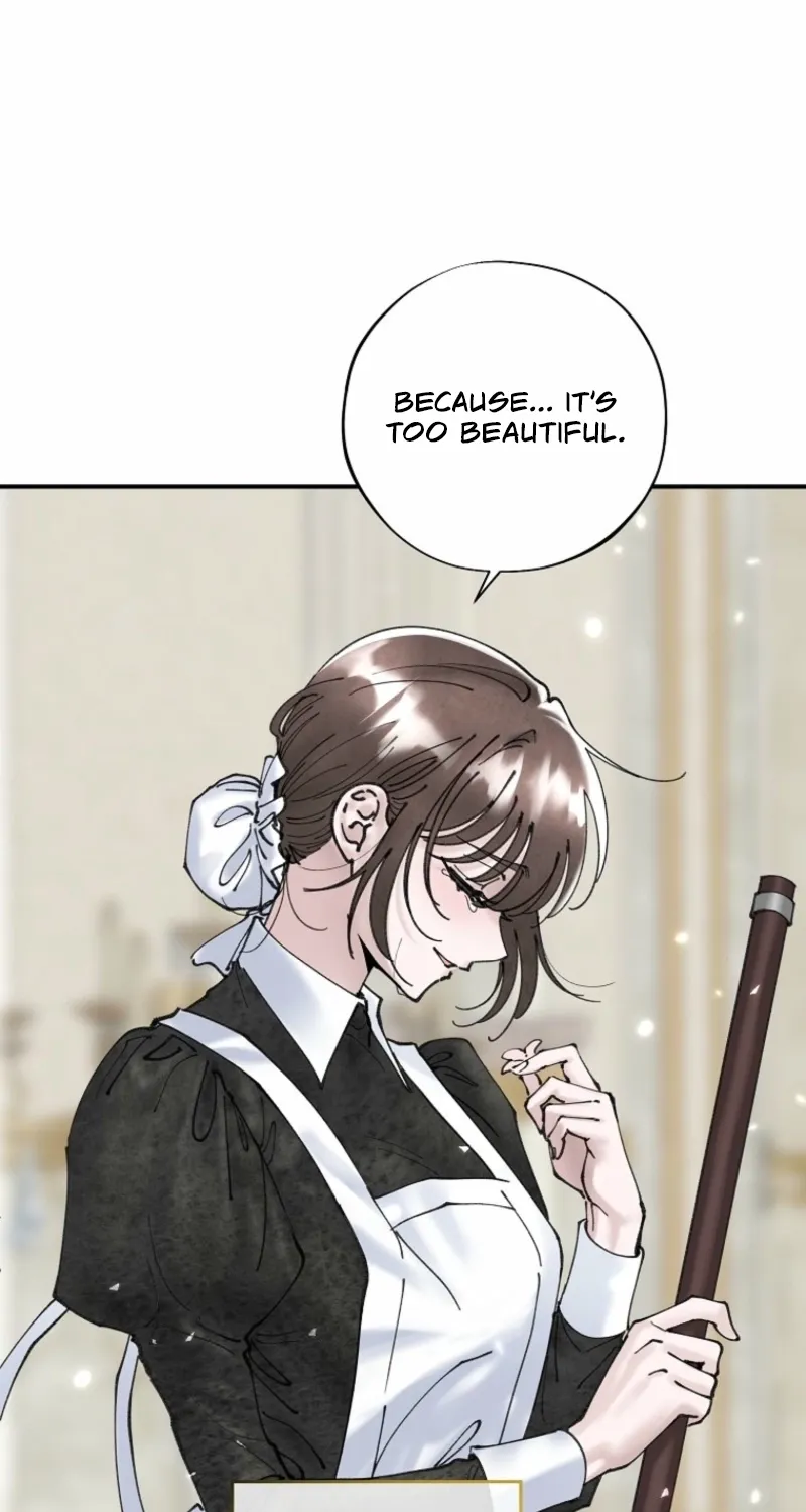 Read The Maid