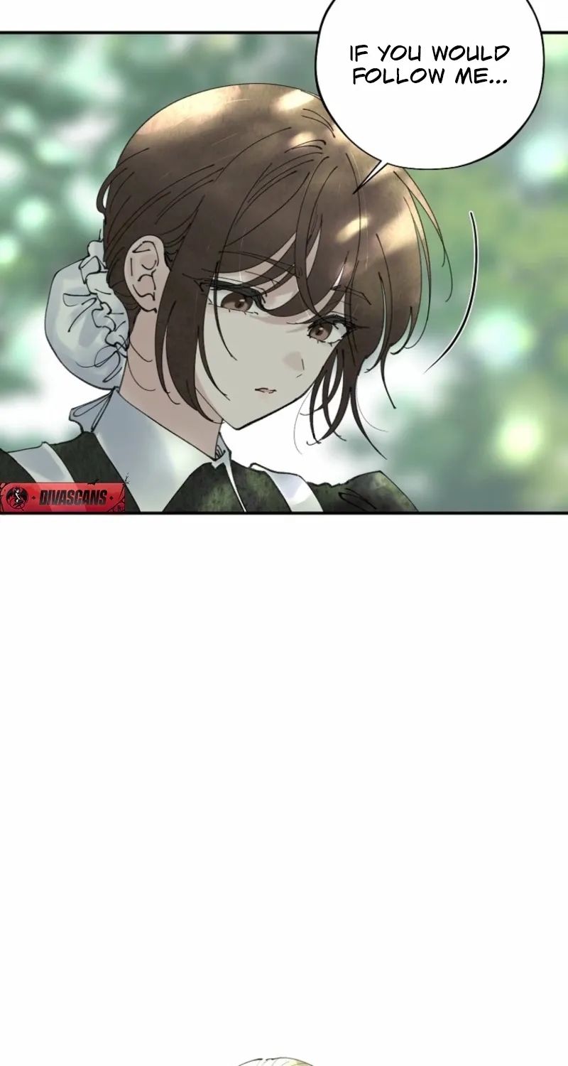 Read The Maid