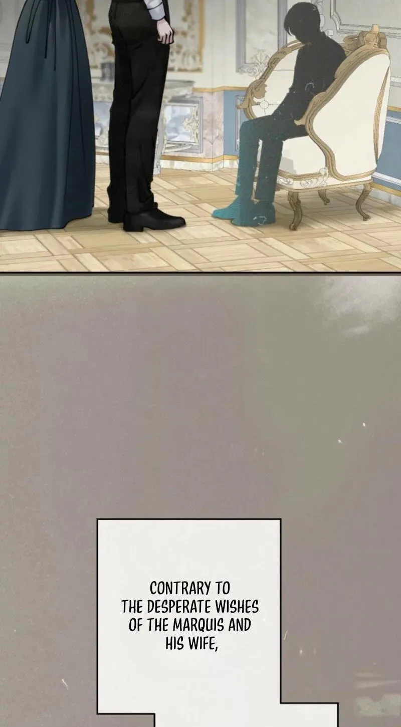 Read The Maid