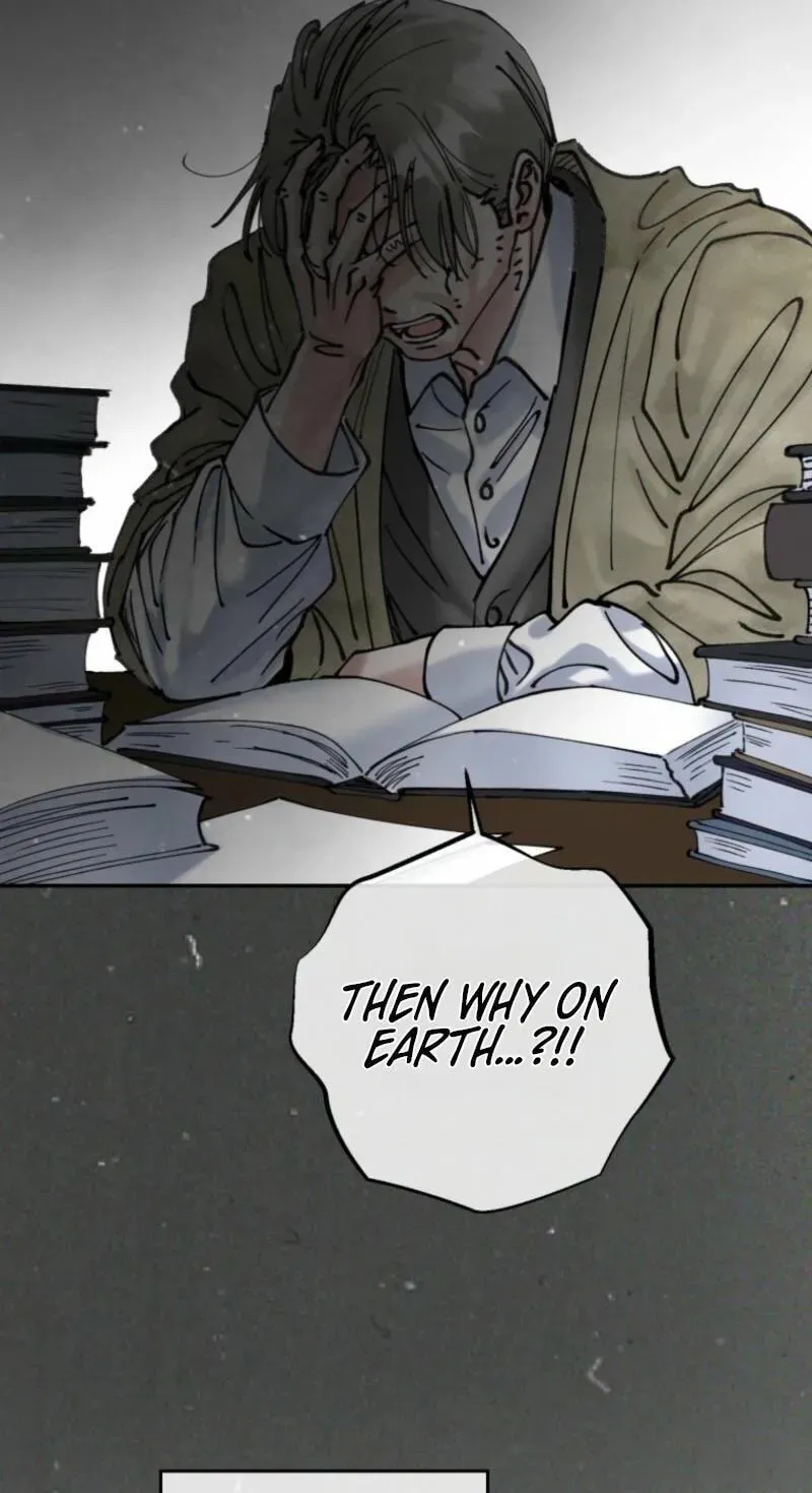Read The Maid