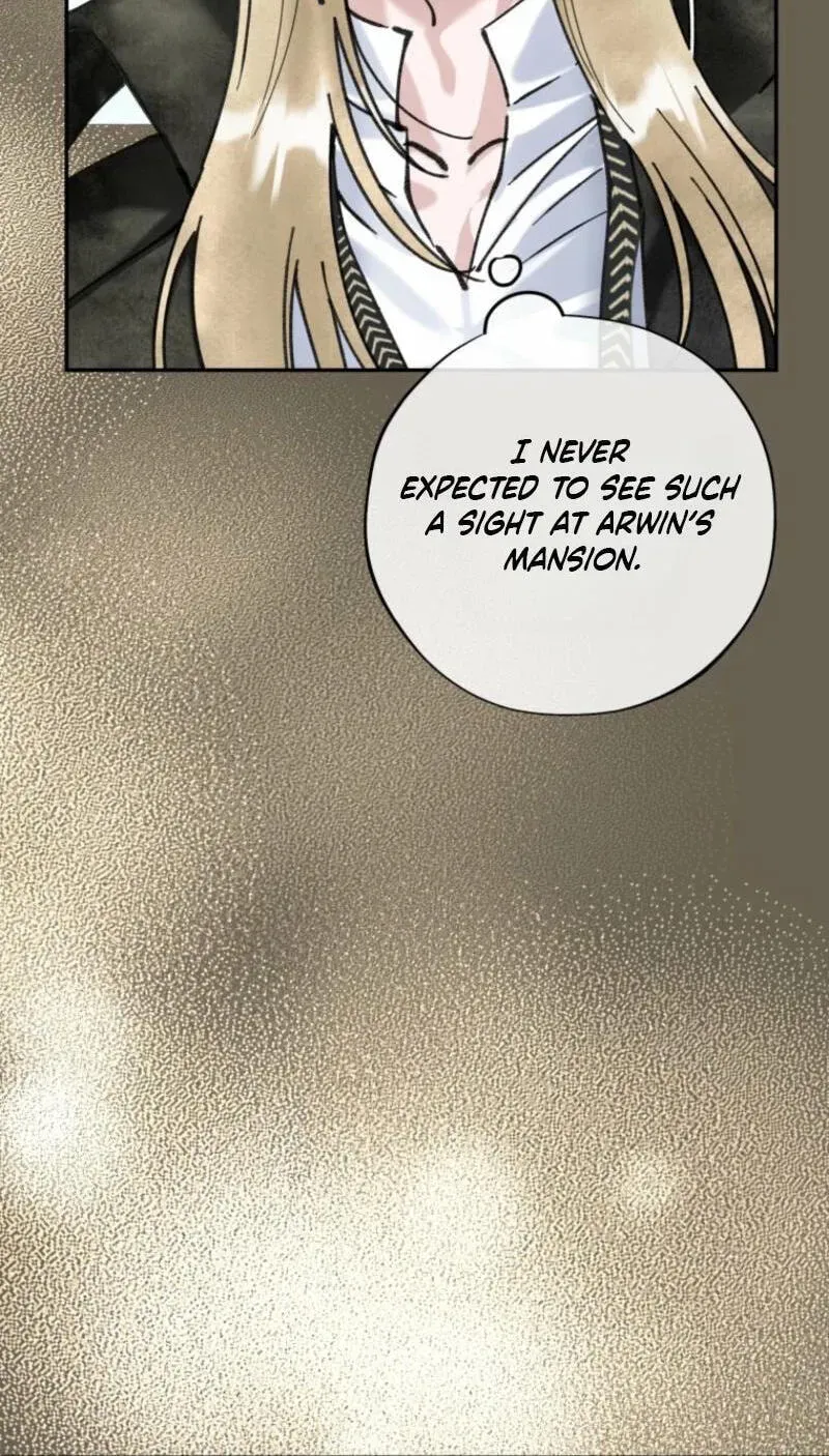 Read The Maid