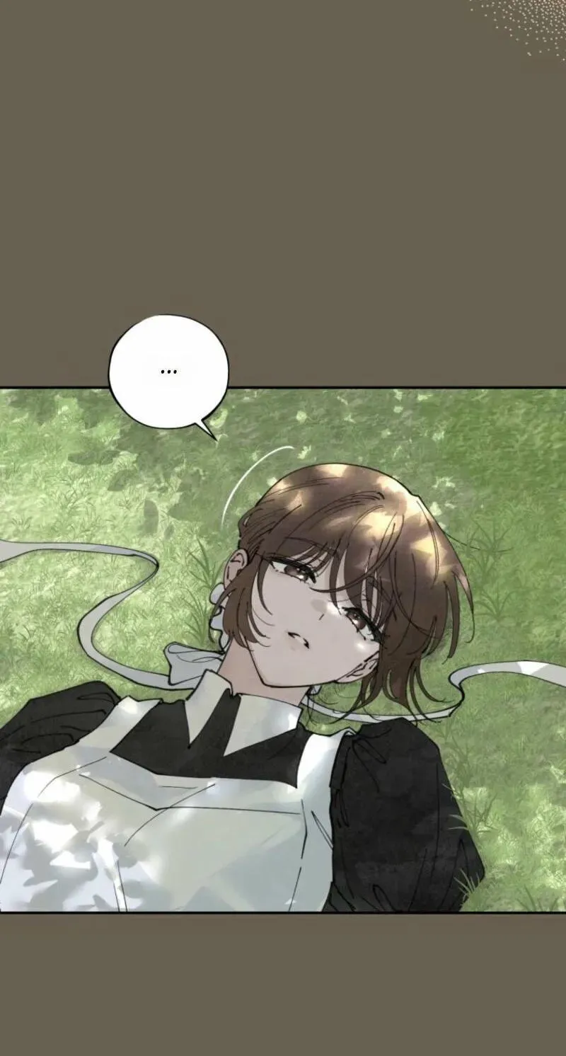 Read The Maid