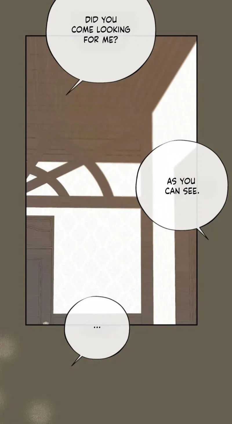 Read The Maid