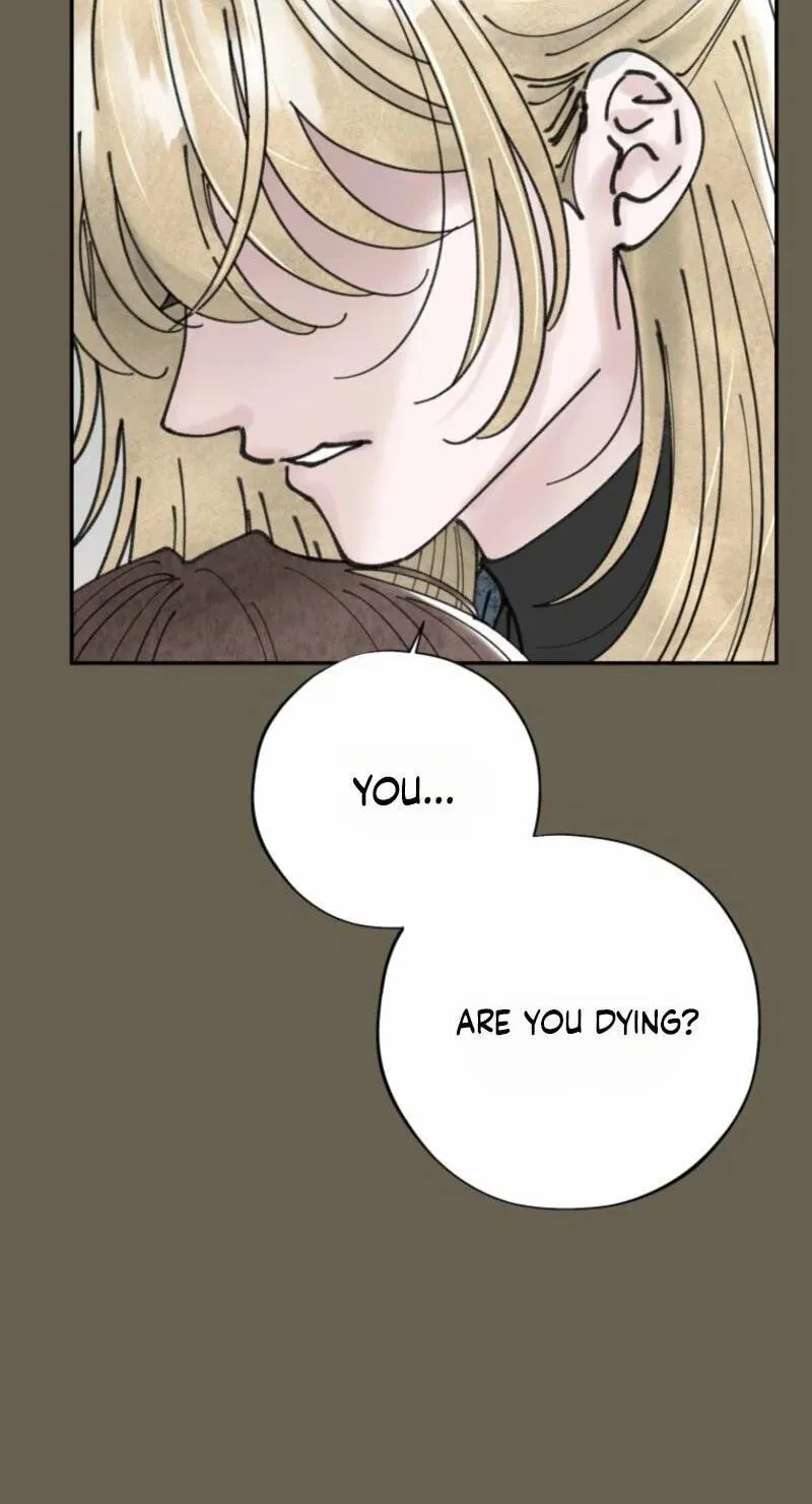 Read The Maid