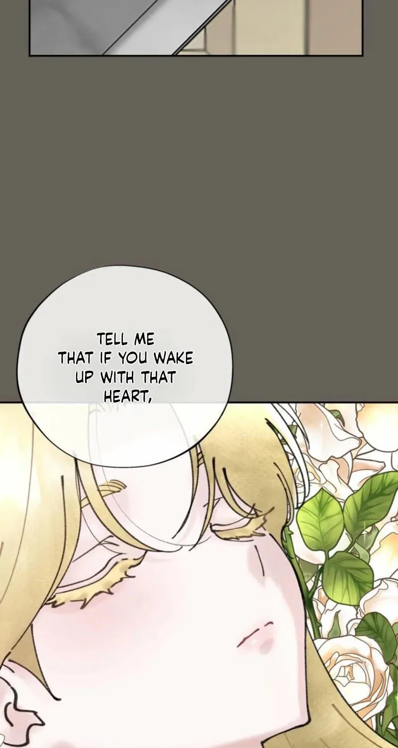 Read The Maid