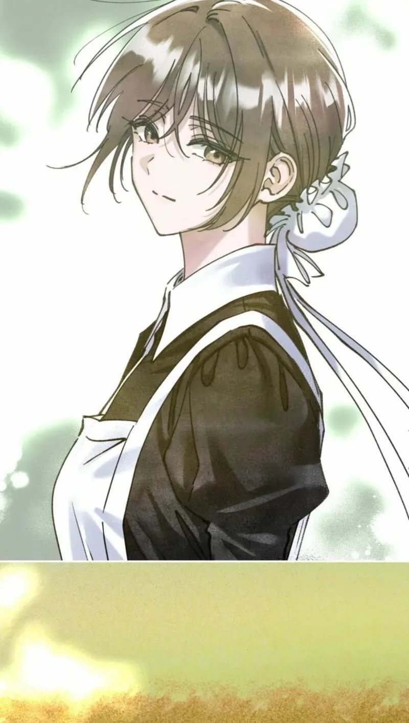 Read The Maid