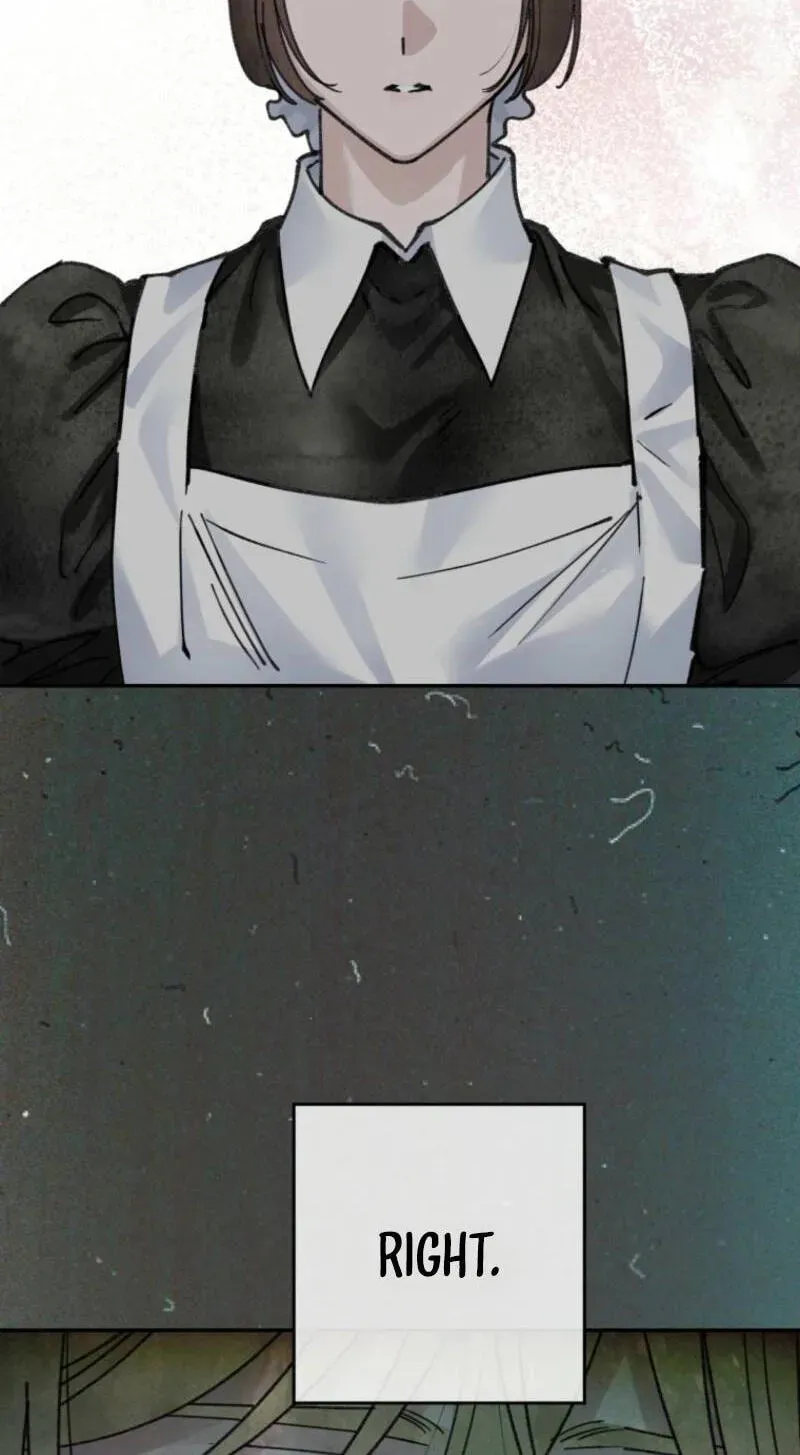 Read The Maid