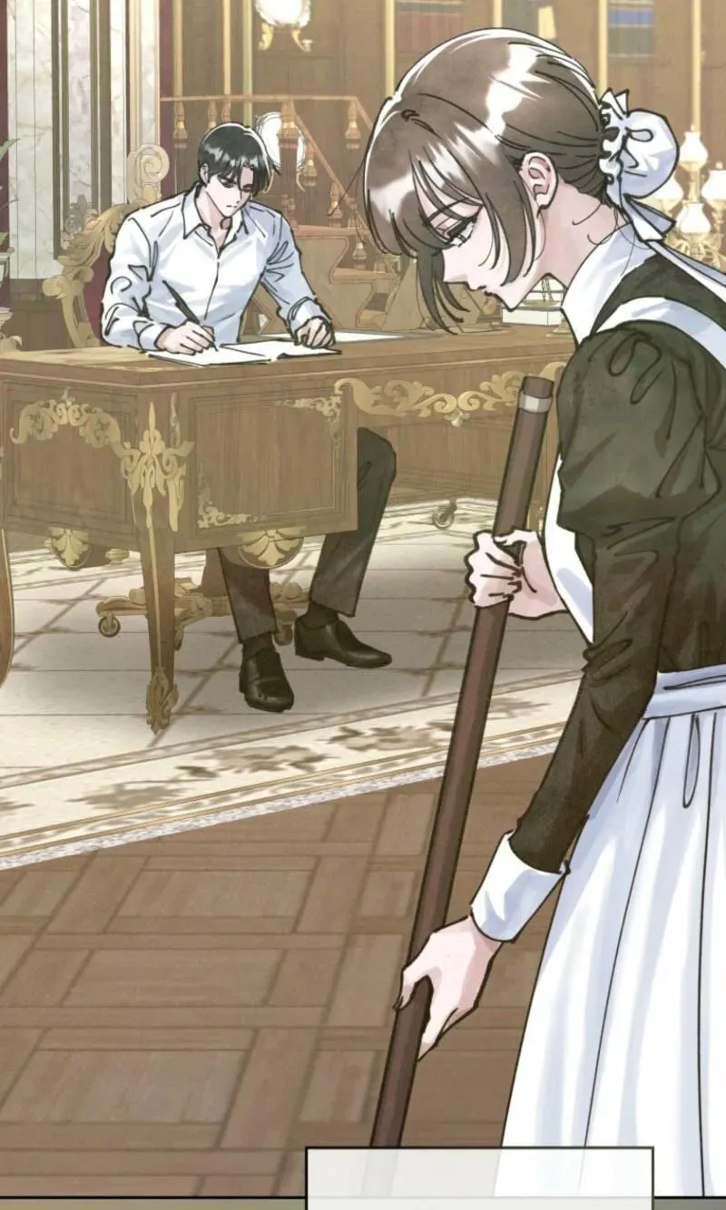 Read The Maid
