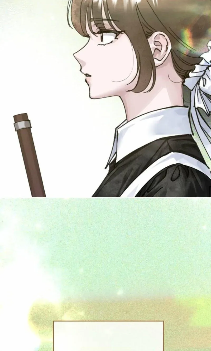 Read The Maid