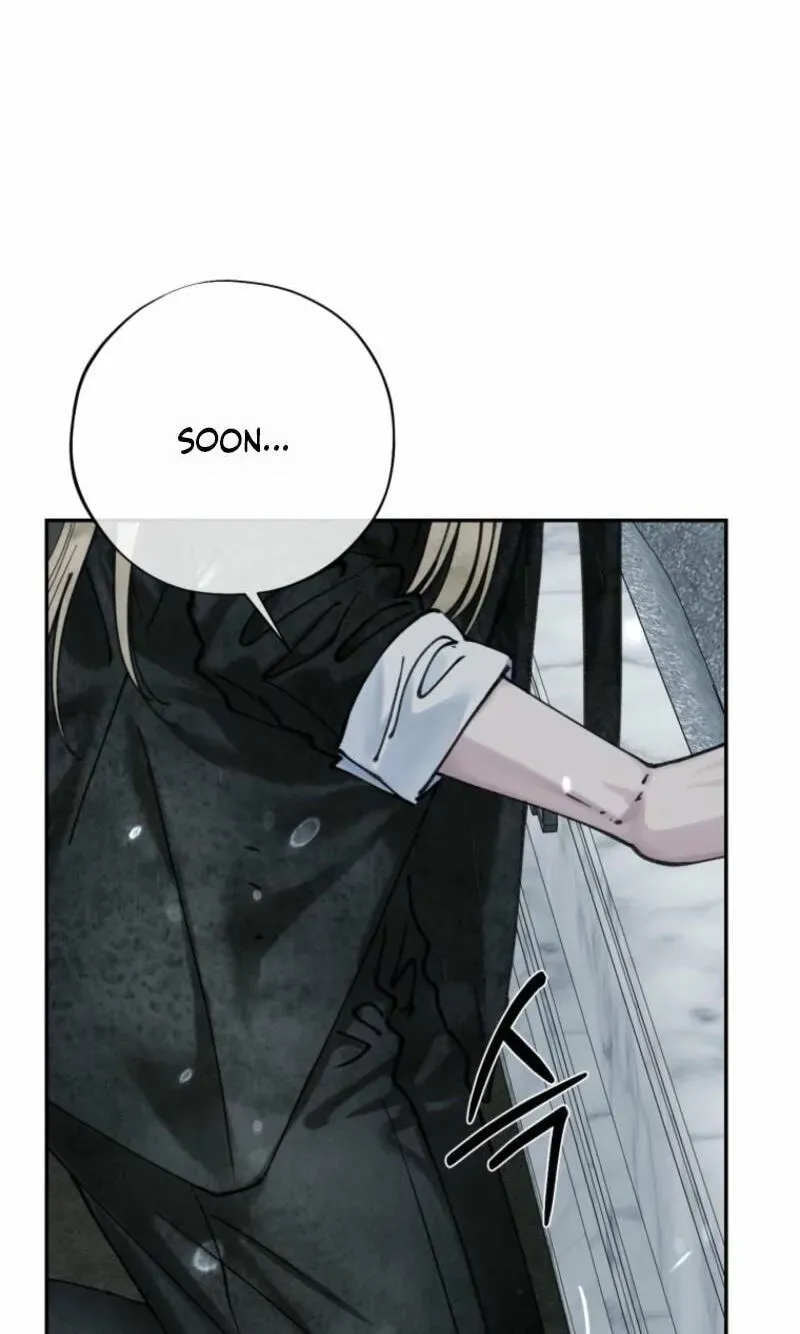 Read The Maid