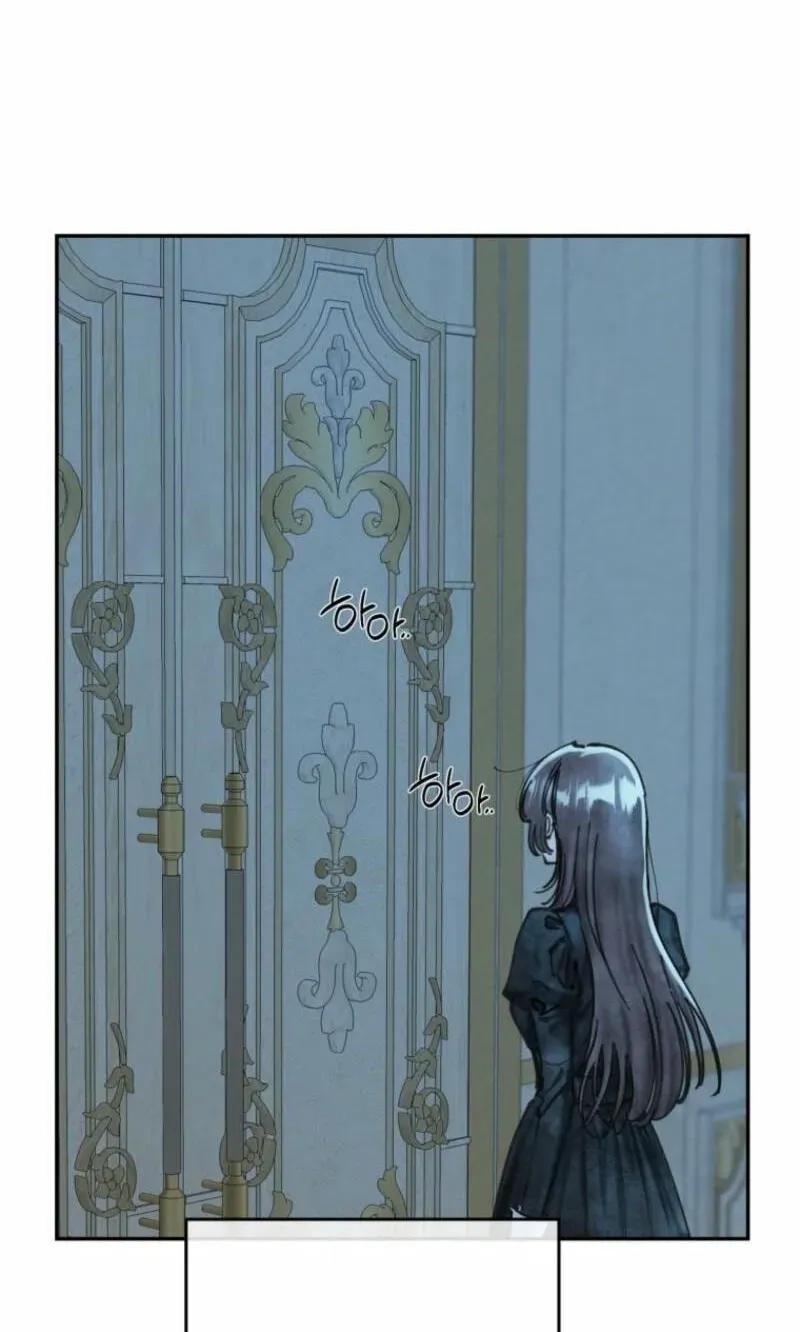 Read The Maid