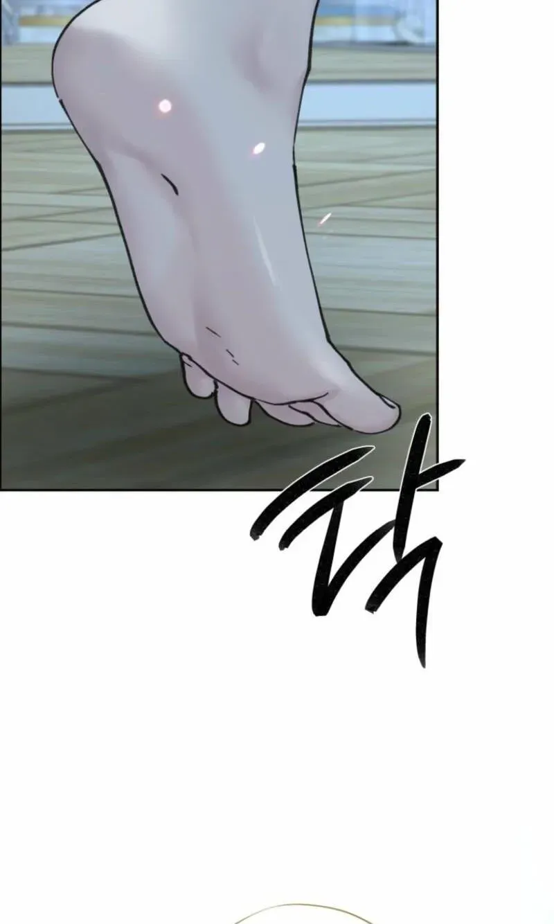 Read The Maid