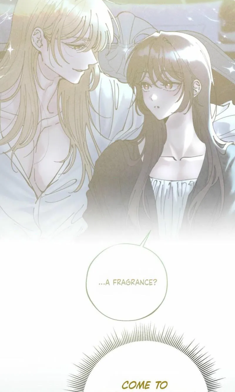 Read The Maid