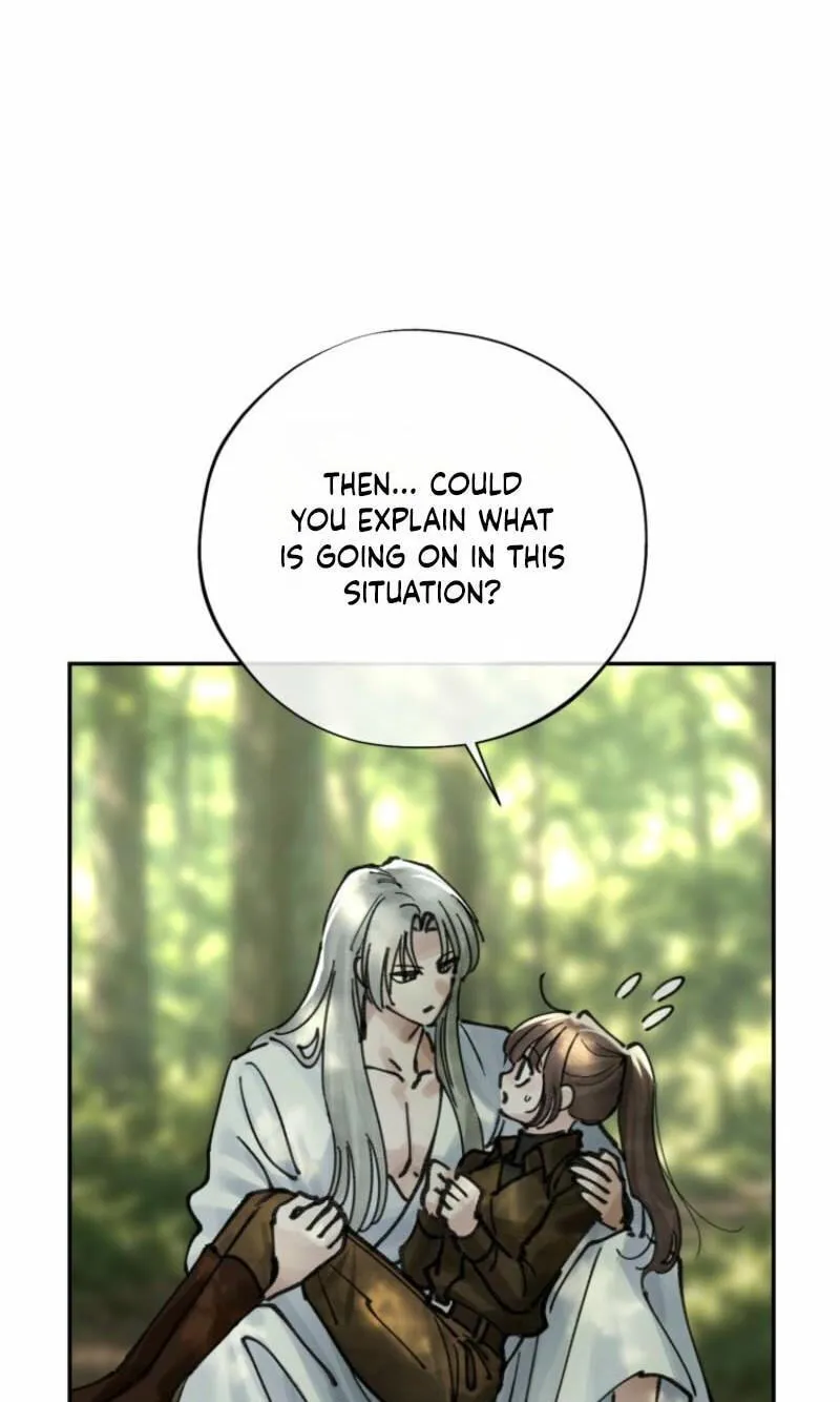 Read The Maid