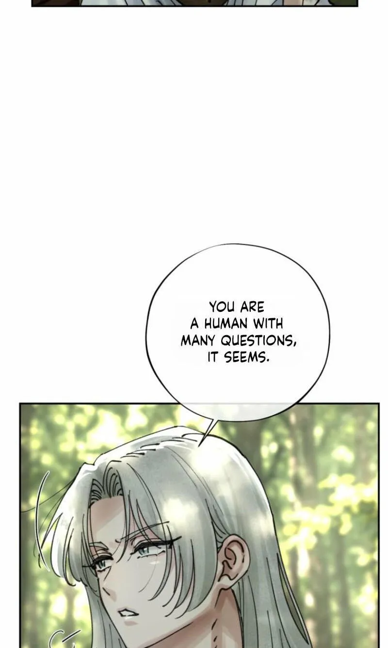 Read The Maid