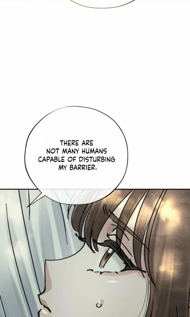 Read The Maid