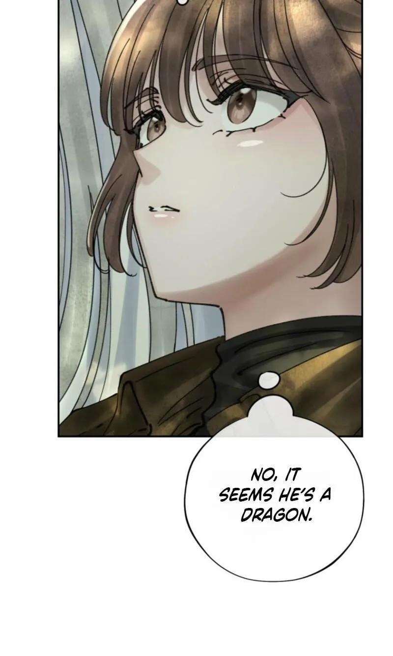 Read The Maid