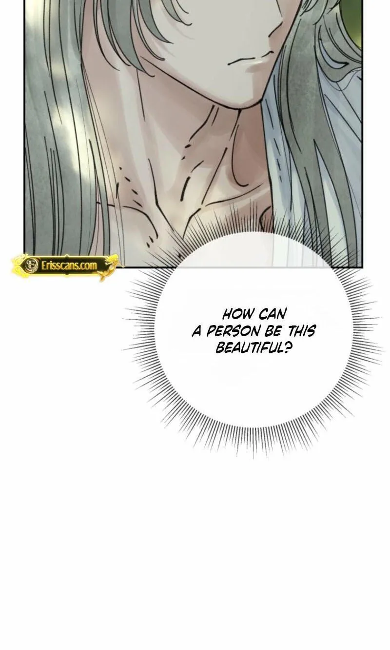 Read The Maid