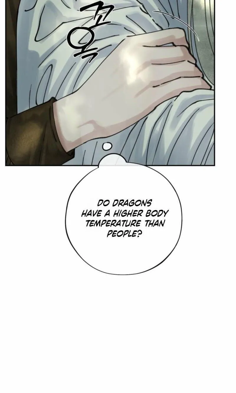 Read The Maid
