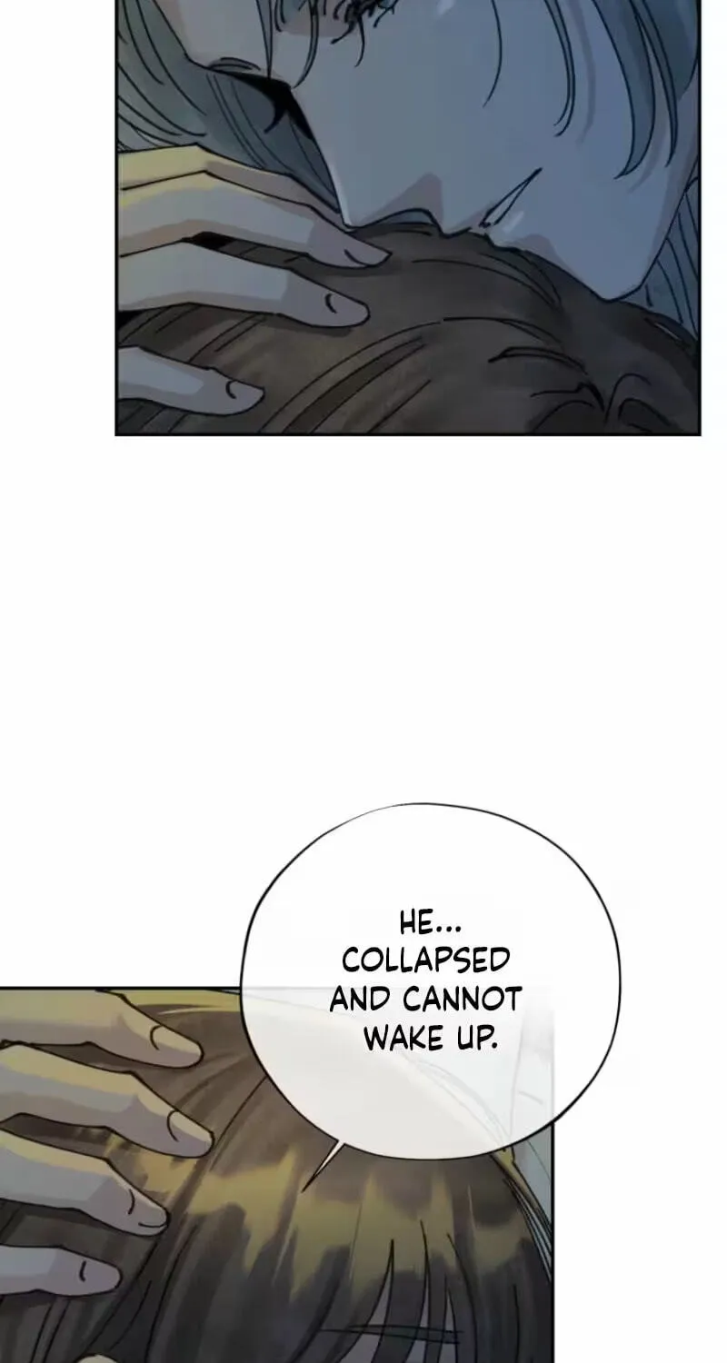 Read The Maid
