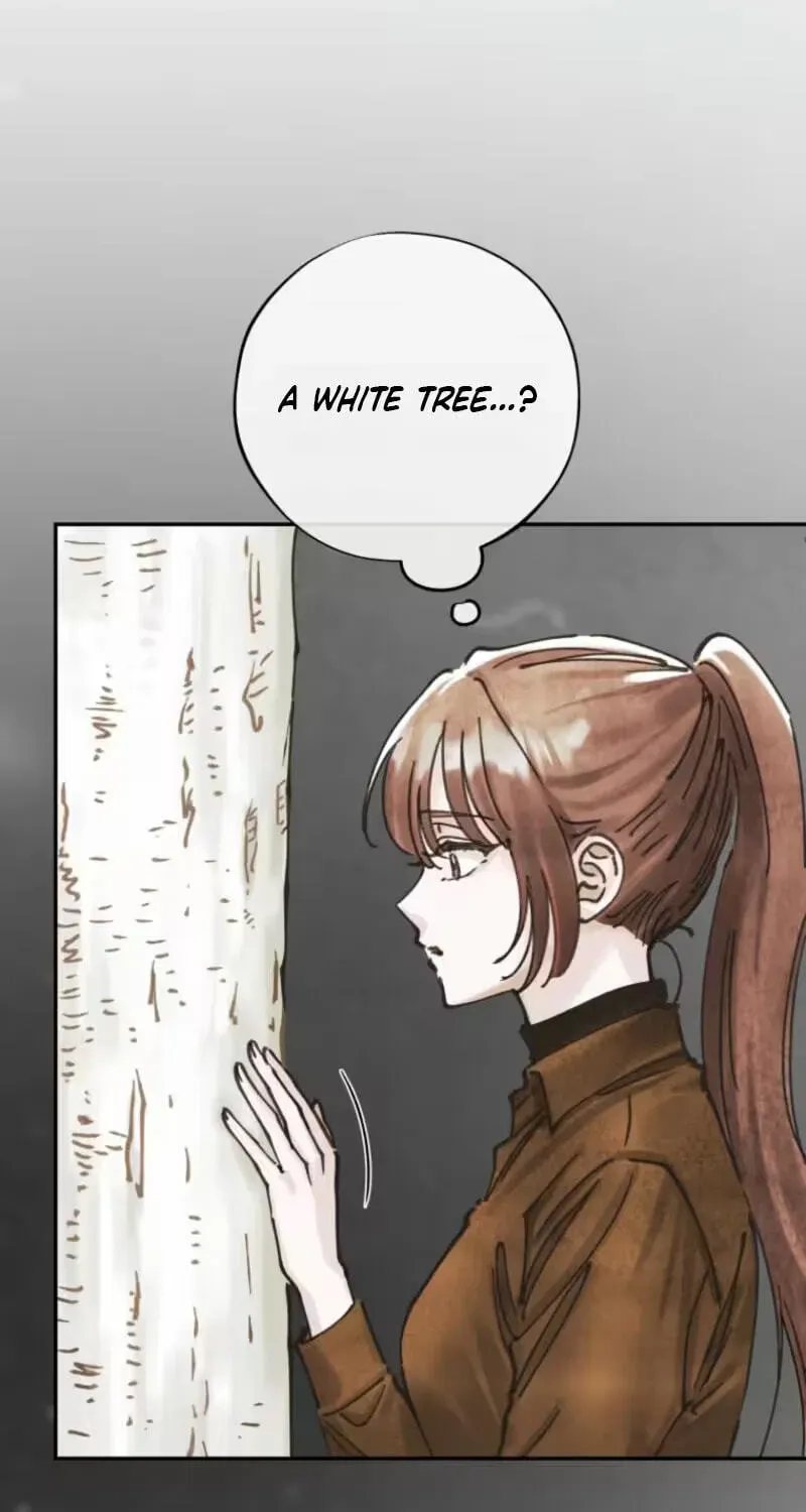 Read The Maid