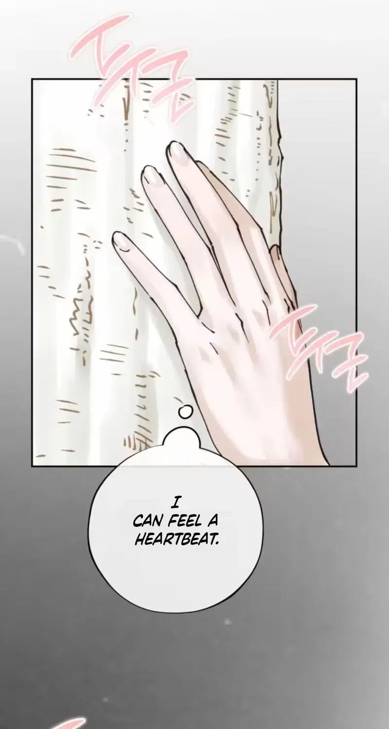 Read The Maid