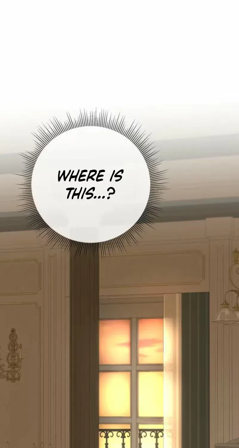 Read The Maid